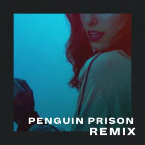poster for Down Low (Penguin Prison Remix) - Penguin Prison & Lyrah