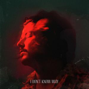 poster for I don’t know why - AVAION