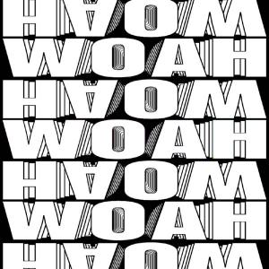 poster for Woah - Hekler