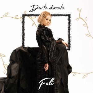 poster for Du-Te Dorule - Feli