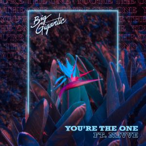 poster for You’re the One (feat. Nevve) - Big Gigantic