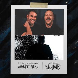 poster for Want You - Nitti Gritti, Marten Hørger
