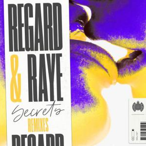 poster for Secrets (Tom Field Remix) - Regard, Raye