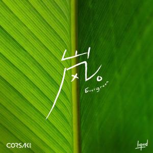 poster for 岚 Evergreen - CORSAK