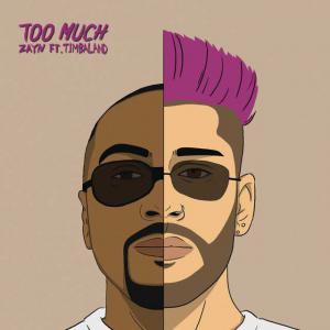 poster for Too Much (feat. Timbaland) - Zayn