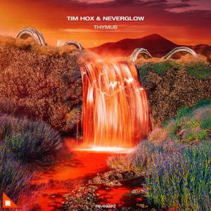 poster for Thymus - Tim Hox & NEVERGLOW