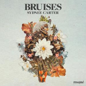 poster for Bruises - Sydnee Carter