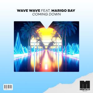 poster for Coming Down (feat. Marigo Bay) - Wave Wave