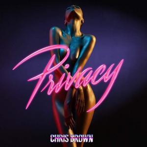 poster for Privacy - Chris Brown