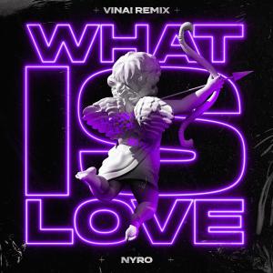 poster for What Is Love (VINAI Remix) - Nyro