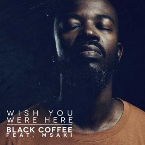 poster for Wish You Were Here (feat. Msaki) - Black Coffee