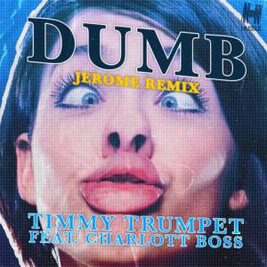 poster for Dumb (Jerome Remix) - Timmy Trumpet, Charlott Boss