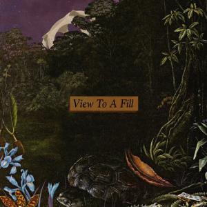 poster for View to a Fill - Delta Sleep