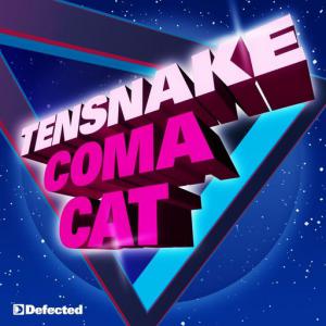 poster for Coma Cat - Tensnake