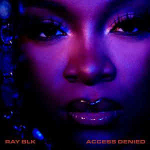 poster for Baggage - Ray Blk
