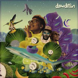 poster for Slowdown - Dowdelin