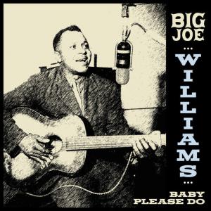 poster for Sinking Blues - Big Joe Williams