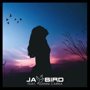 poster for Let You Down (feat. Danni Carra) - Jay Bird