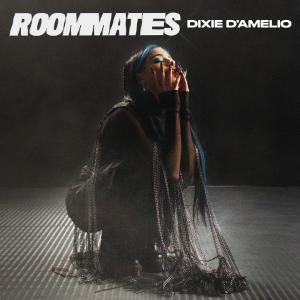 poster for Roommates  - Dixie D’Amelio