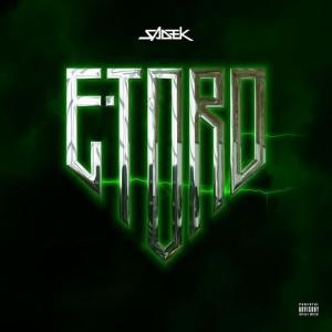 poster for E-TORO - Sadek