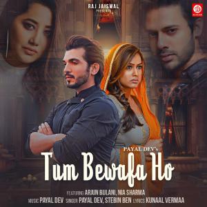 poster for Tum Bewafa Ho (feat. Arjun Bijlani & Nia Sharma) - Payal Dev & Stebin Ben