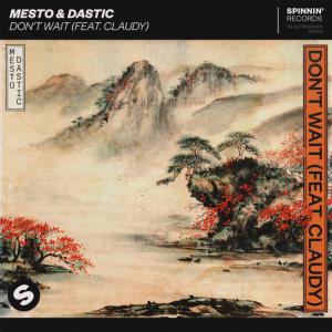 poster for Don’t Wait (feat. Claudy) - Mesto, Dastic