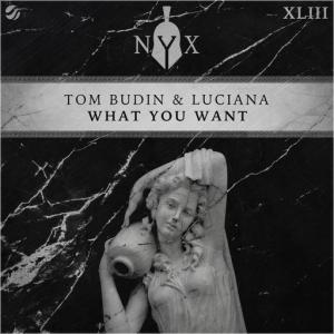 poster for What You Want - Tom Budin, Luciana