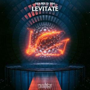 poster for Levitate - REAPER & SYN