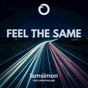 poster for Feel the Same (feat. Maline) - iamsimon