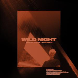 poster for Wild Night - Airmow & Frizzy The Streetz