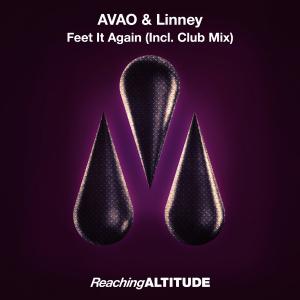 poster for Feel It Again (Radio Edit) - Avao & Linney