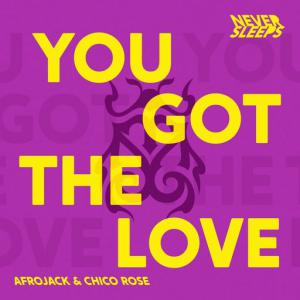 poster for You Got The Love - Never Sleeps, Afrojack, Chico Rose