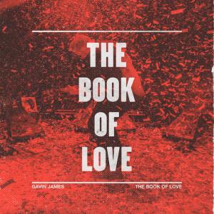poster for The Book Of Love (EP Version) - Gavin James