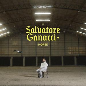 poster for Horse - Salvatore Ganacci