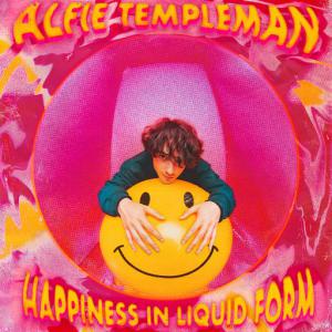 poster for Happiness In Liquid Form - Alfie Templeman