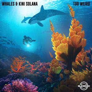 poster for Too Weird - Whales & Kini Solana