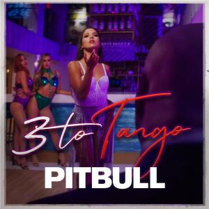 poster for 3 to Tango - Pitbull