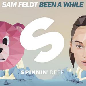 poster for Been A While - Sam Feldt
