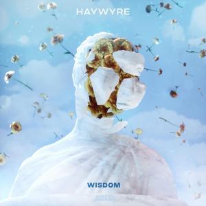poster for Wisdom - Haywyre