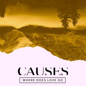 poster for Where Does Love Go - Causes