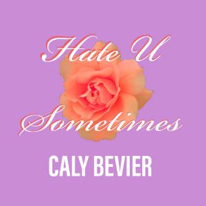 poster for Hate U Sometimes - Caly Bevier