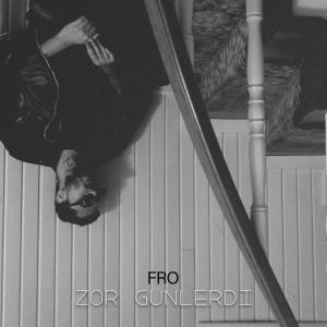 poster for Zor Günlerdi - Fro