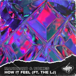 poster for How It Feel (feat. The LJ) - Mandrazo & NOIXES