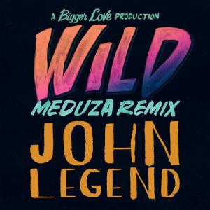 poster for Wild (MEDUZA Remix) - John Legend