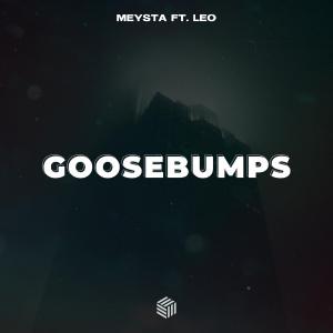 poster for Goosebumps (feat. Leo) - MEYSTA