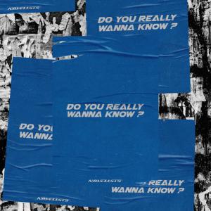 poster for Do you really wanna know? - Novelists FR