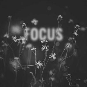 poster for Focus (feat. Lena Leon) - Deorro