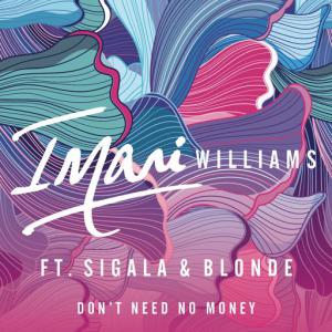 poster for Don’t Need No Money (feat. Sigala & Blonde) - Imani Williams