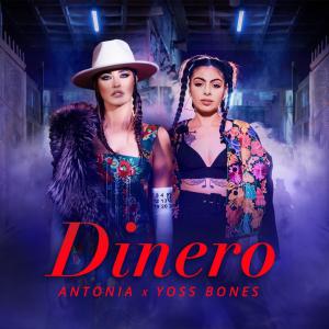 poster for Dinero - ANTONIA & Yoss Bones