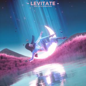 poster for Levitate - Rad Cat & Armen Paul